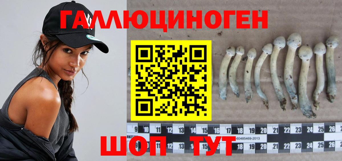 Ачинск  Псилоцибиновые грибы мицелий  хочу наркоту  Вход с VPN 
